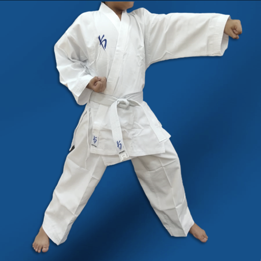 KARATEGI TRAINING 